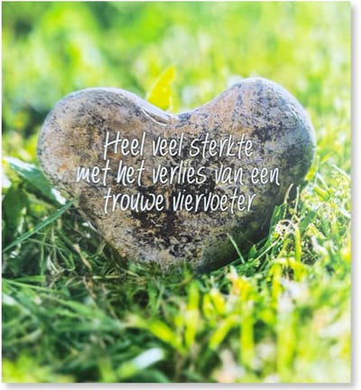 Cards & Crafts Condoleancekaart Huisdier Hond - Met Oprechte Deelneming Wenskaart - 12 x 11 cm - gevouwen kaart Inclusief envelop