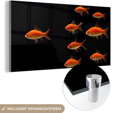 MuchoWow® Glasschilderij 40x20 cm - Schilderij acrylglas - Goudvis - Dieren - Zwart - Foto op glas - Schilderijen