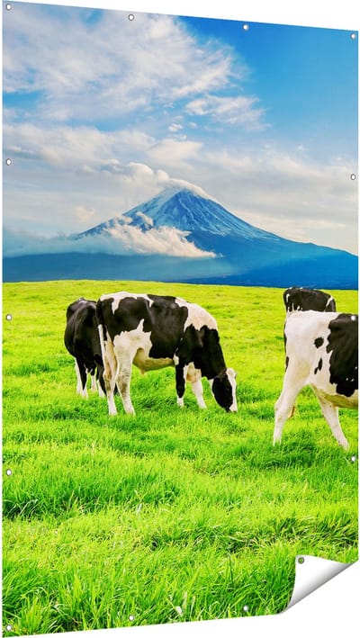 Gards Tuinposter Koeien in de Wei - 120x180 cm - Tuindoek - Tuindecoratie - Wanddecoratie buiten - Tuinschilderij