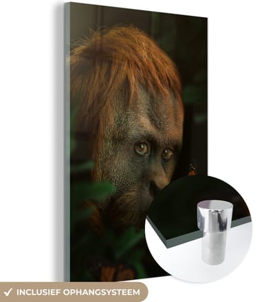 MuchoWow® Glasschilderij 40x60 cm - Schilderij acrylglas - Jungle - Aap - Vlinder - Foto op glas - Schilderijen
