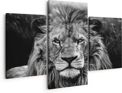 Artaza Canvas Schilderij Drieluik Leeuw in het Wild - Leeuwenkop - Zwart Wit - 150x120 - Groot - Foto Op Canvas - Canvas Print