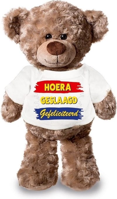 Knuffel teddybeer - geslaagd - 24 cm - pluche - met shirt - eindexamen - afstuderen