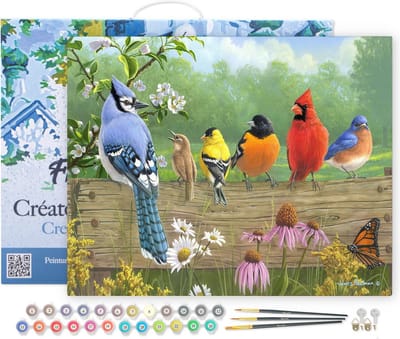 Figured'Art Schilderen op Nummer Volwassenen met lijst - Vogels op een hek - Handwerk acrylverf Kit DIY Compleet - 40x50cm Canvas al ingelijst