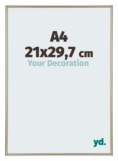 Your Decoration - Fotolijst A4 21x 29,7 cm - Kunststof - Champagne - Annecy