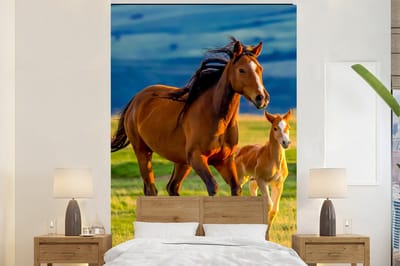 Behang kinderkamer - Fotobehang Paarden - Gras - Dieren - Landschap - Natuur - Breedte 170 cm x hoogte 260 cm - Kinderbehang