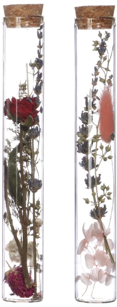 Glazen buis met 2 diverse droogbloemen Ø3cm. H: 20cm - 12 st