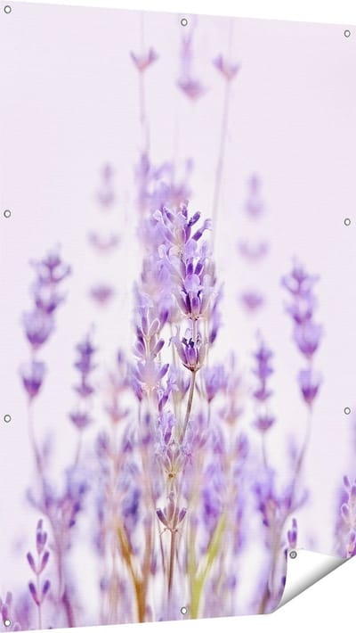 Gards Tuinposter Paarse Lavendel Bloemen - 100x150 cm - Tuindoek - Tuindecoratie - Wanddecoratie buiten - Tuinschilderij
