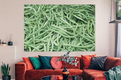 Canvas schilderij 150x100 cm - Wanddecoratie Een stapel van organische sperziebonen - Muurdecoratie woonkamer - Slaapkamer decoratie - Kamer accessoires - Schilderijen