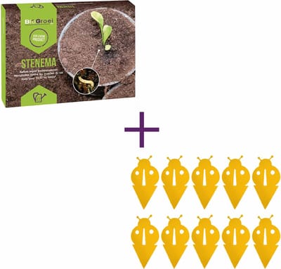 Biogroei combipakket - Aaltjes tegen rouwvliegjes 10m² + 10 gele kleefstickers - bestrijdingspakket tegen rouwvliegjes