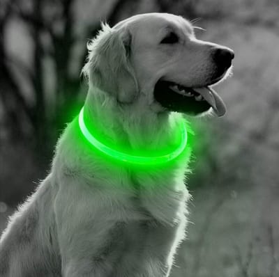 *** Led Halsband Hond Usb Oplaadbaar 20-50 CM - Groen - Led Honden Halsband - Extra Small tm Extra Large - Universeel - Honden lampje - Honden Licht - Honden Veiligheid - Lichtgevende - van Heble® ***