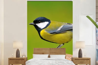 Behang - Fotobehang Vogel - Koolmees - Dieren - Groen - Breedte 145 cm x hoogte 220 cm