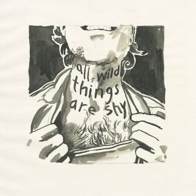 All Wild Things Are Shy - Richard Laviolette