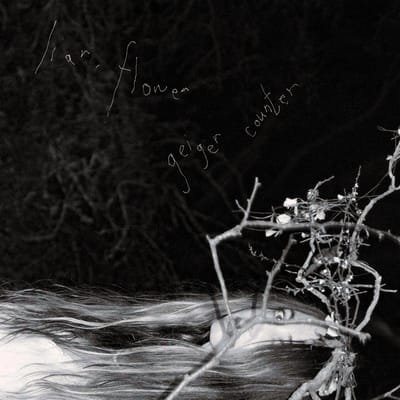 Liar, Flower - Geiger Counter (LP)