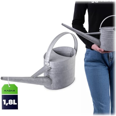 KADAX zinkgieter 2 l van verzinkt staal, vintage gieter met lange tuit, metalen gieter voor kamerplanten, kleine bloemengieter (zilver)
