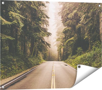 Gards Tuinposter Highway in Californië Omring met Bos - 80x60 cm - Tuindoek - Tuindecoratie - Wanddecoratie buiten - Tuinschilderij