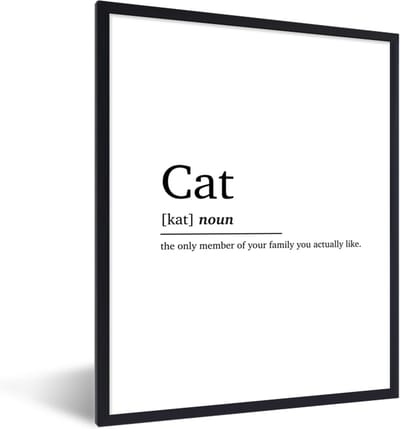 Fotolijst incl. Poster - Quotes - Woordenboek - Spreuken - Kat definitie - Cat - 30x40 cm - Posterlijst