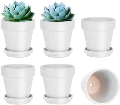Allecta - Set van 6 kleine terracotta plantenpotten met schotel - Wit - Ø 10,16 cm - Bloempotten met afvoergat - Geschikt voor binnen en buiten