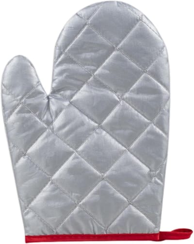 Stoomstrijkijzer handschoenen - Stoombescherming - Kreukels verwijderen - Waterdicht en hittebestendig - 23 x 13 cm - Zilver