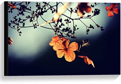 Canvas  - Oranje Bloem in een Boom  - 60x40cm Foto op Canvas Schilderij (Wanddecoratie op Canvas)