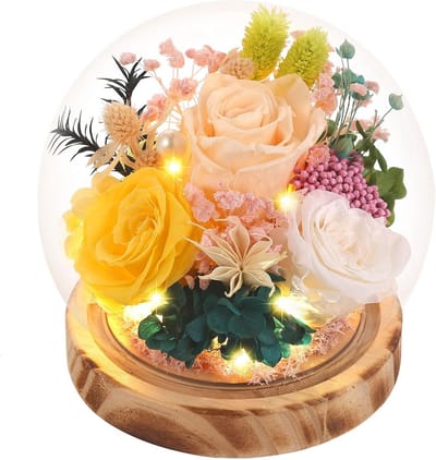 Eeuwige Roos in Glazen Koepel - Cadeau voor Haar, Moederdag & Verjaardag Decoratie