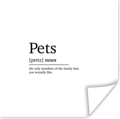 Poster Huisdieren definitie - Quotes - Spreuken - Pets - Woordenboek - 100x100 cm XXL