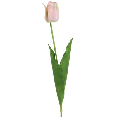 Tulp roze bloemstengel H67cm