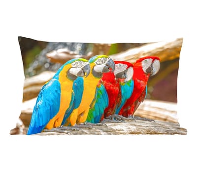Sierkussens - Kussentjes Woonkamer - 50x30 cm - Vogels - Papegaai - Tropisch - Natuur