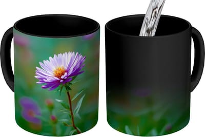 Magische Mok - Foto op Warmte Mokken - Koffiemok - Aster - Paars - Bloem - Blaadjes - Magic Mok - Beker - 350 ML - Theemok