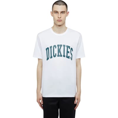 T-shirt Korte Mouw Dickies Aitkin DK0A4X9FJ971