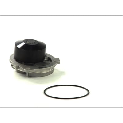 Waterpomp THERMOTEC D1F060TT