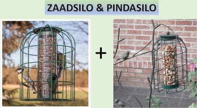 Bird-Feeder | Zaad & Pindasilo - Met Beschermkooi voor Kleine Vogels - Rond - Groen