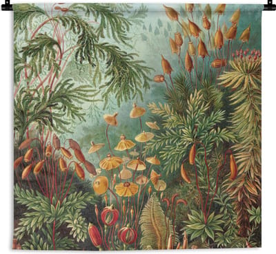 Wandkleed - Wanddoek - Oude meesters - Kunst - Muscinae - Haeckel - 180x180 cm - Wandtapijt