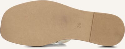 Notre-V 456n Slippers - Dames - Goud - Maat 38