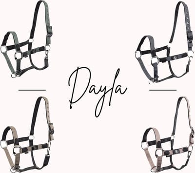 BR Halster Dayla Cob Adobe Rose