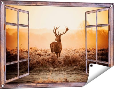 Gards Tuinposter Doorkijk Hert in de Wei tijdens de Zonsopkomst - 90x60 cm - Tuindoek - Tuindecoratie - Wanddecoratie buiten - Tuinschilderij
