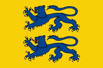 Vlag Zuid-Sleeswijk 200x300cm