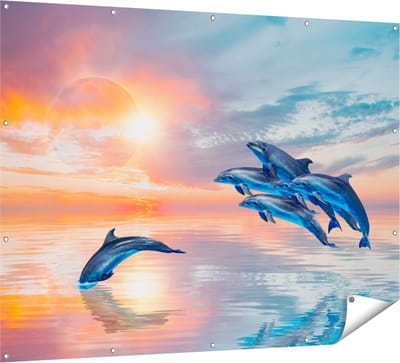 Gards Tuinposter Groep Dolfijnen Springen uit het Water - 160x120 cm - Tuindoek - Tuindecoratie - Wanddecoratie buiten - Tuinschilderij