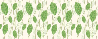 Privacy raamfolie - GROENE BLADEREN - Stickers voor ramen en douchedeuren - 40x100cm