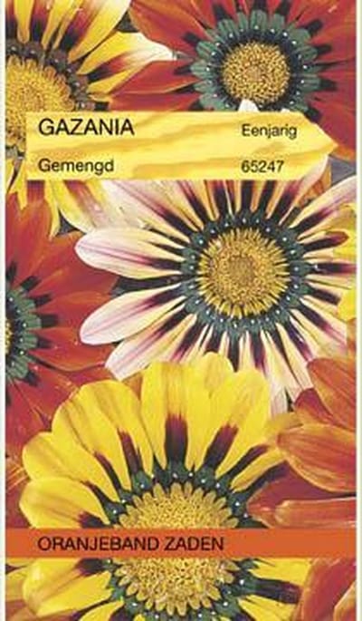 Gazania, Middaggoud gemengd