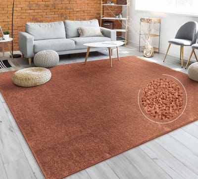 Paco Home Vloerkleed Woonkamer Effen Eenvoudig En Modern Laagpolig, Versch. Afmetingen Kleuren 120 cm Rund