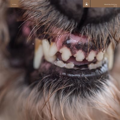 Blanck Mass - World Eater (LP) (Coloured Vinyl) (Limited Edition)