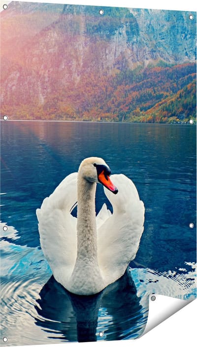 Gards Tuinposter Zwaan op het Water in de Bergen - 80x120 cm - Tuindoek - Tuindecoratie - Wanddecoratie buiten - Tuinschilderij