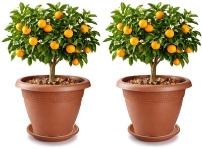 Plasticforte 2x plantenpot met opvang schaal - terracotta - rond - D50 x H40 cm - kunststof - buiten - tuin - bloempot