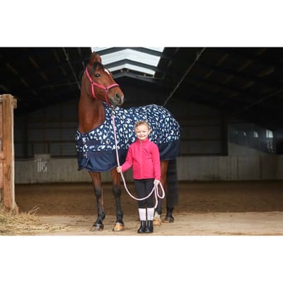 Outdoor paardendeken HorseGuard Josh 600D 100 g