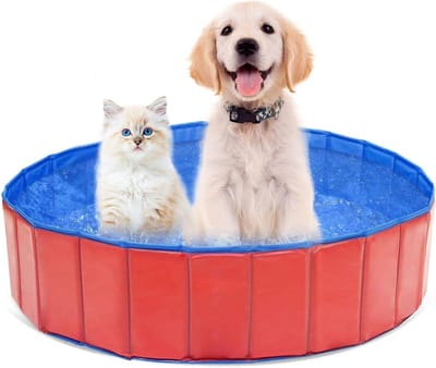 Opvouwbaar Hondenbad voor Kleine Honden - 60 x 20 cm, PVC - Ideaal voor Zomerplezier, Waterpret en Dierenverkoeling