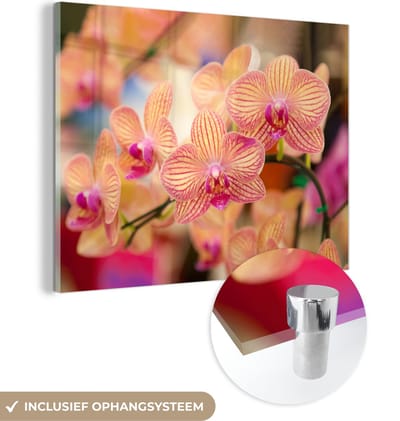 MuchoWow® Glasschilderij 120x90 cm - Schilderij acrylglas - Plant - Orchidee - Bloemen - Roze - Flora - Foto op glas - Schilderijen