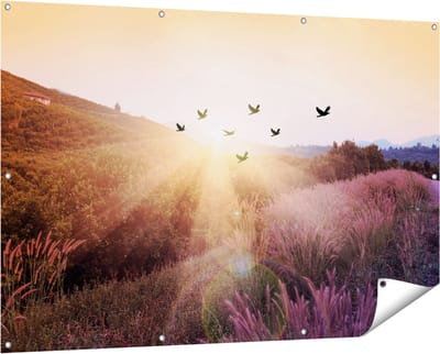Gards Tuinposter Silhouet Zwerm Vogels bij Zonsondergang - 150x100 cm - Tuindoek - Tuindecoratie - Wanddecoratie buiten - Tuinschilderij