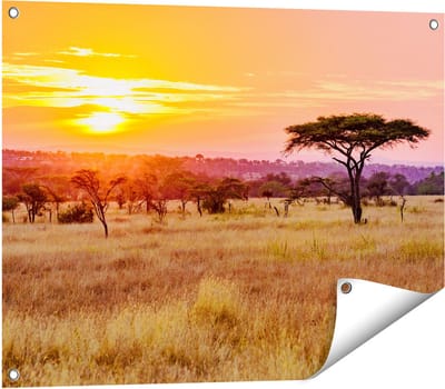 Gards Tuinposter Zonsondergang in de Savanne - 80x60 cm - Tuindoek - Tuindecoratie - Wanddecoratie buiten - Tuinschilderij