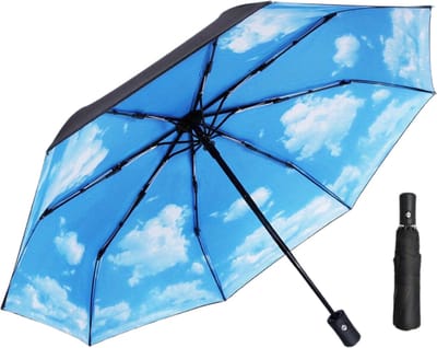 Bovista Luxe Stormparaplu - Windproof Paraplu - Stormproef - Opvouwbaar - Automatisch Uitklapbaar - Umbrella - Air