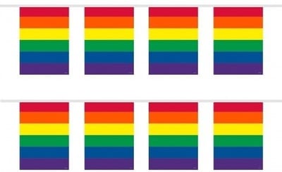 Folat Regenboog vlaggenlijn - 2x - 10 meter - plastic - vierkante vlaggetjes - Gay pride versiering